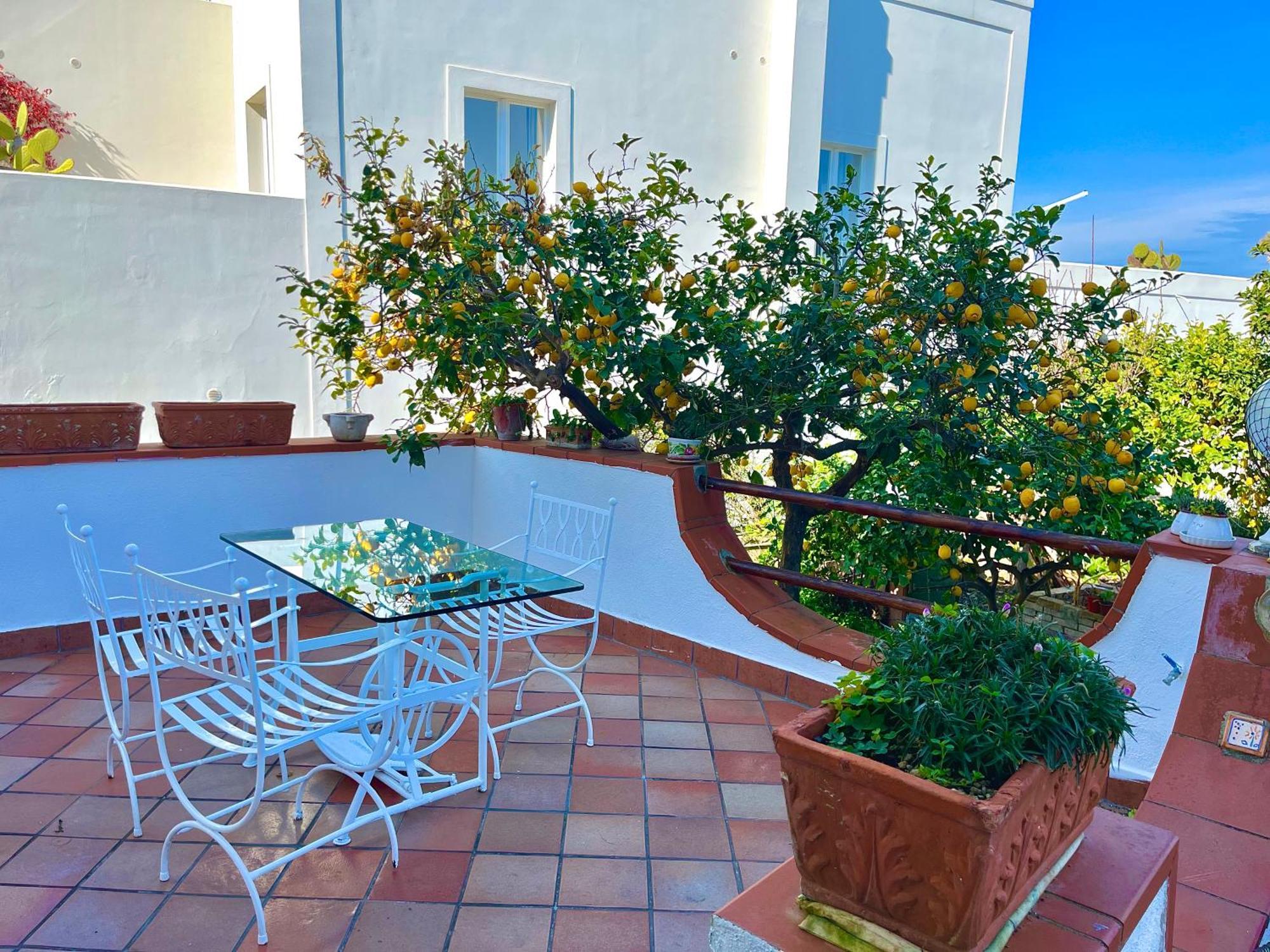 Villa Elke Ischia Extérieur photo