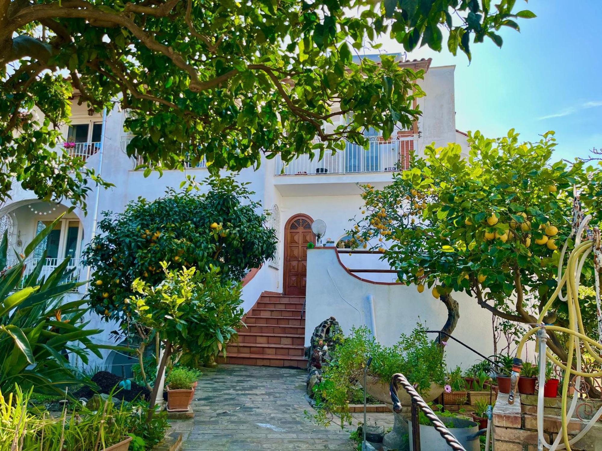 Villa Elke Ischia Extérieur photo